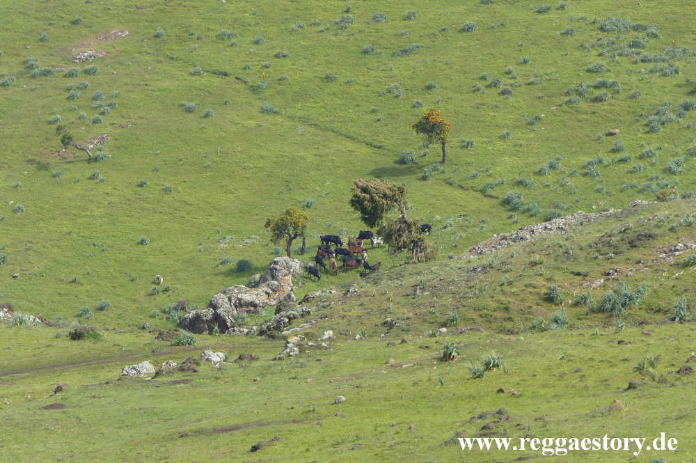 Ethiopia - Oromia