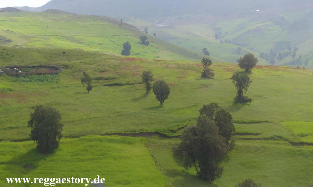 Ethiopia - Oromia