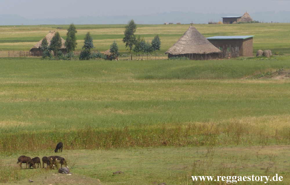 Ethiopia - Oromia - Near Dodola