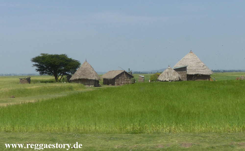 Ethiopia - Oromia - Near Dodola