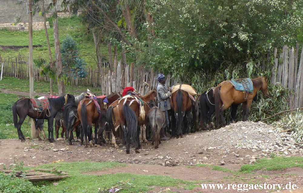 Ethiopia - Oromia - Bekoji - Market