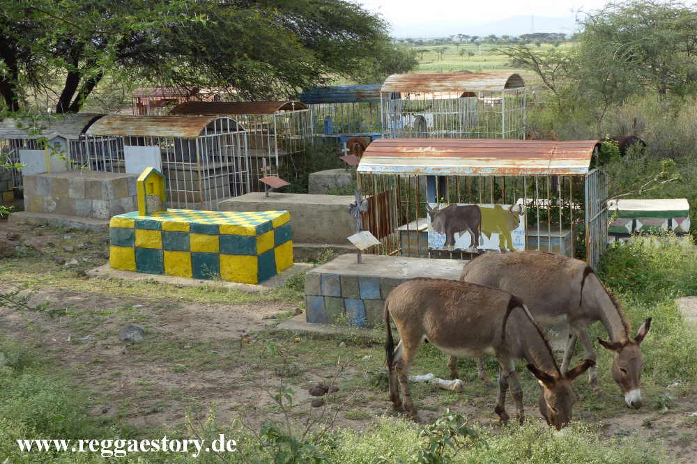 Ethiopia - Oromia - Welenchiti - Church + Cemetary
