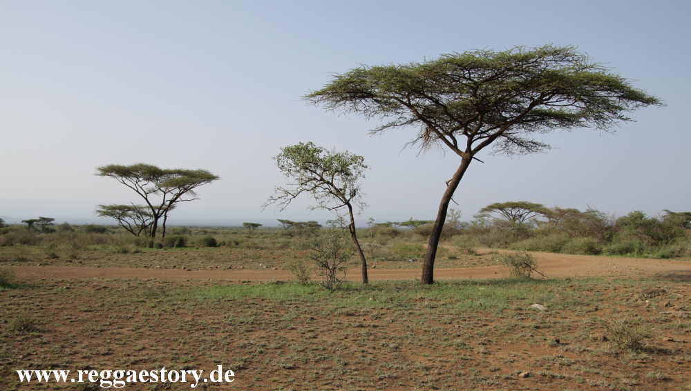 Ethiopia - Awash Nationalpark - Entrance