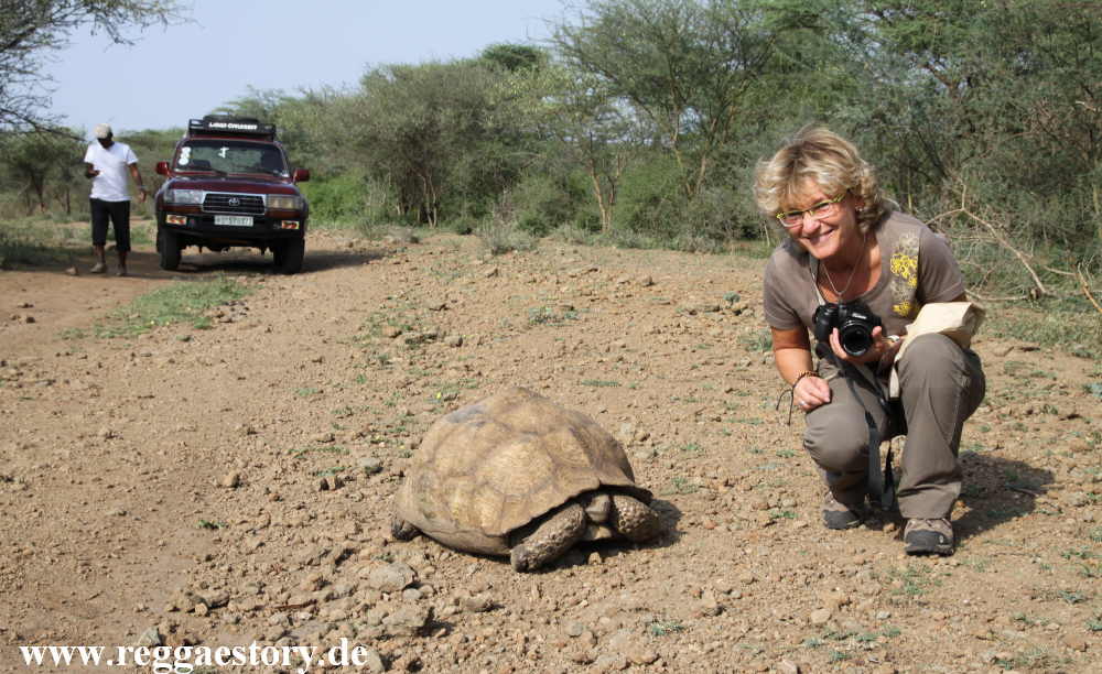 Ethiopia - Awash Nationalpark - Turtle