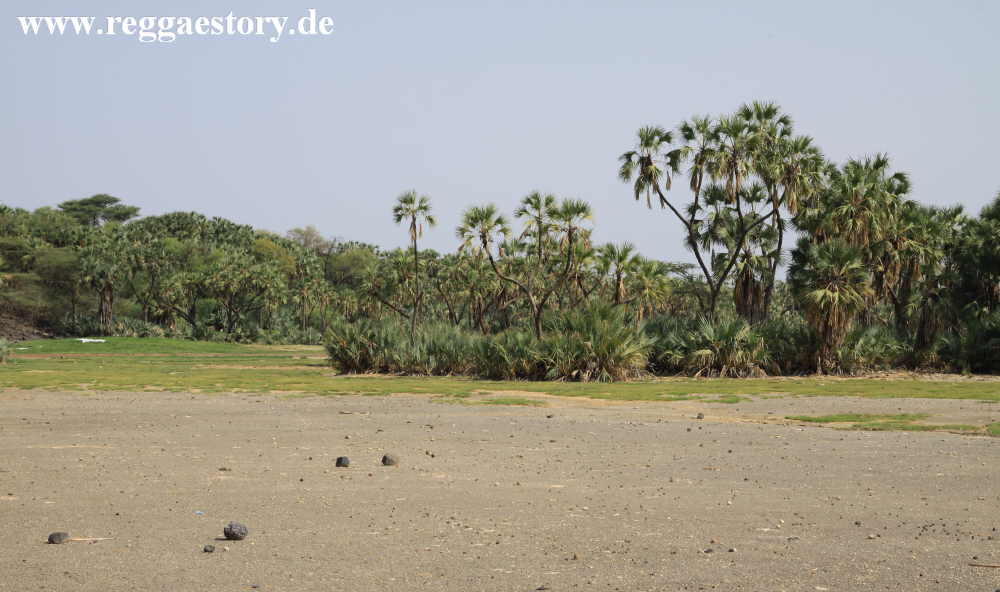 Ethiopia - Awash Nationalpark - Filwoha Campsite