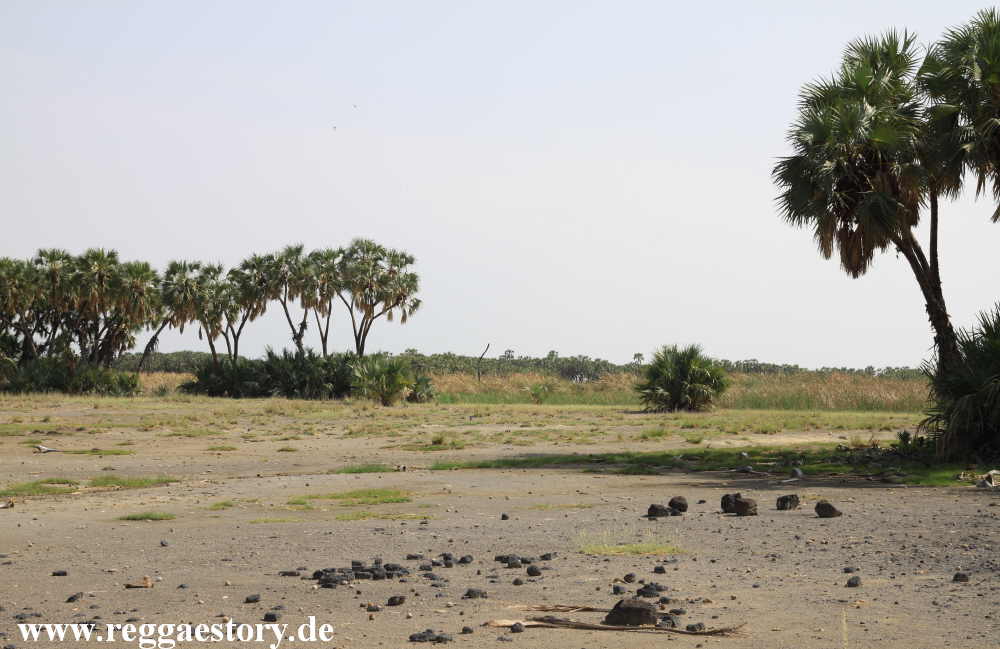 Ethiopia - Awash Nationalpark - Filwoha Campsite