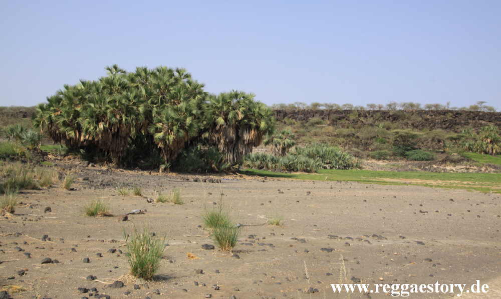 Ethiopia - Awash Nationalpark - Filwoha Campsite