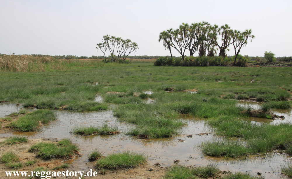 Ethiopia - Awash Nationalpark - Filwoha Campsite