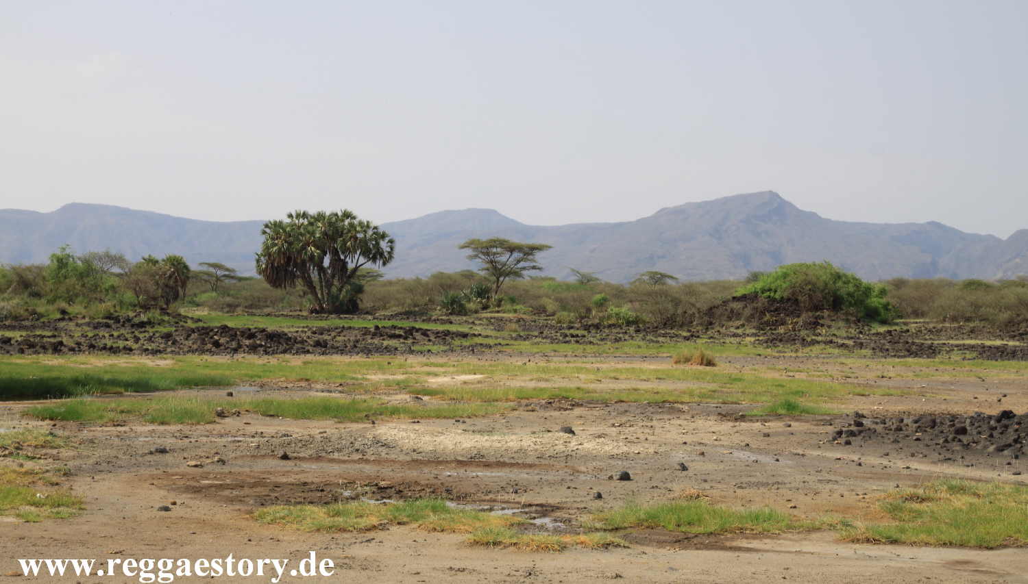 Ethiopia - Awash Nationalpark - Filwoha Campsite