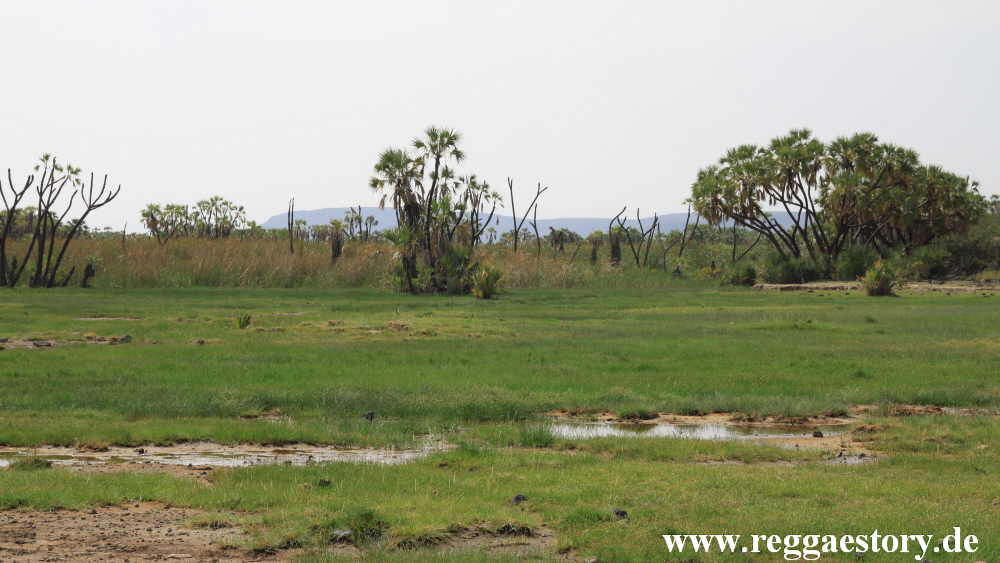 Ethiopia - Awash Nationalpark - Filwoha Campsite