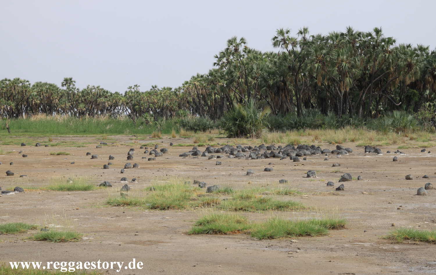 Ethiopia - Awash Nationalpark - Filwoha Campsite