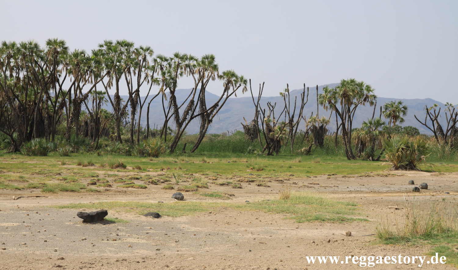 Ethiopia - Awash Nationalpark - Filwoha Campsite