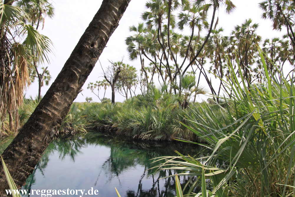 Ethiopia - Awash Nationalpark - Filwoha Hot Springs