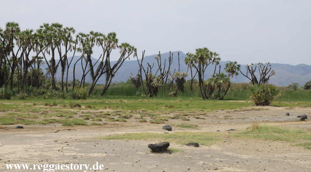 Ethiopia - Awash Nationalpark - Filwoha Hot Springs