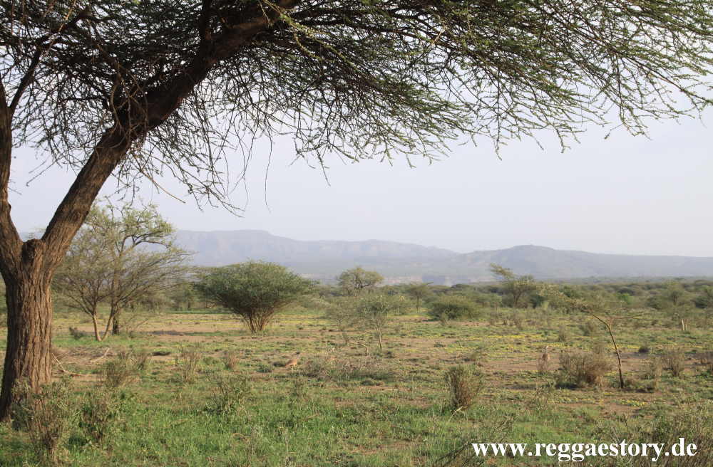 Ethiopia - Awash Nationalpark