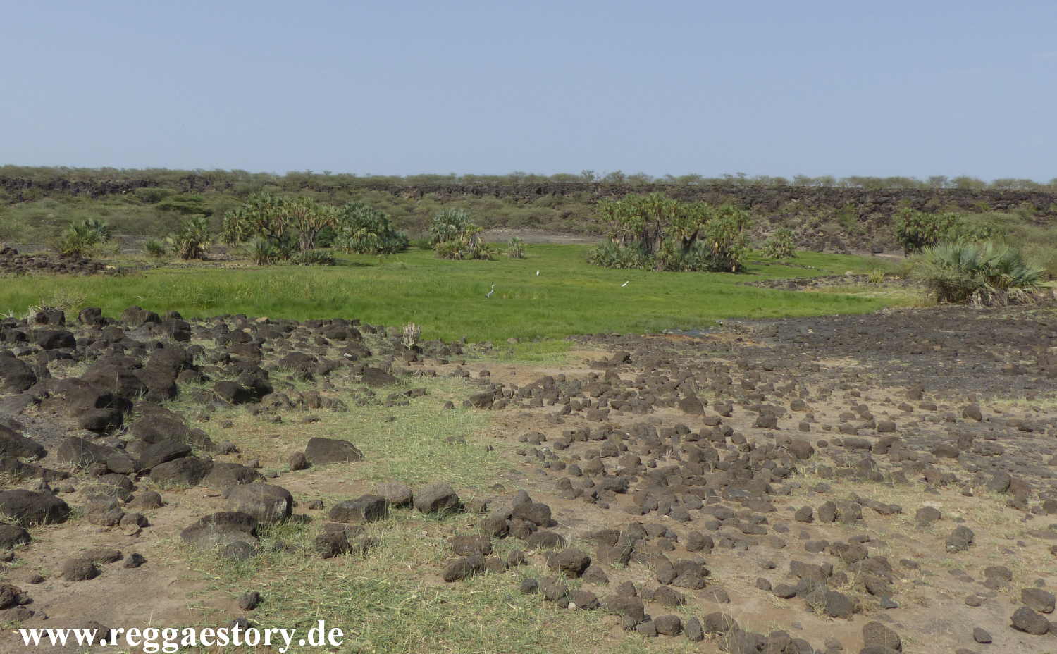 Ethiopia - Awash Nationalpark - Filwoha Campsite