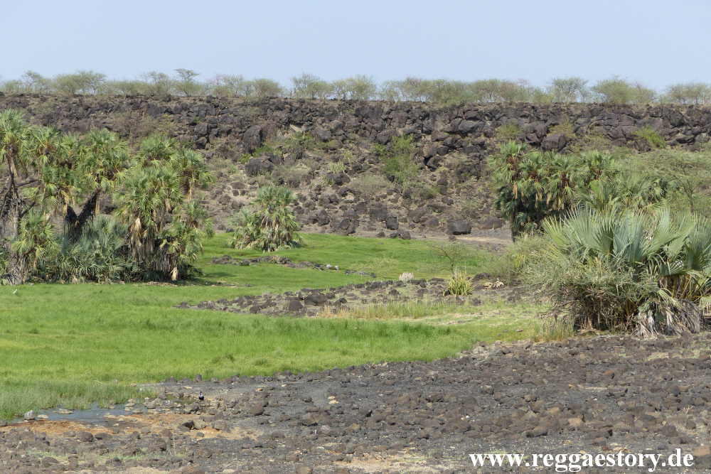 Ethiopia - Awash Nationalpark - Filwoha Campsite