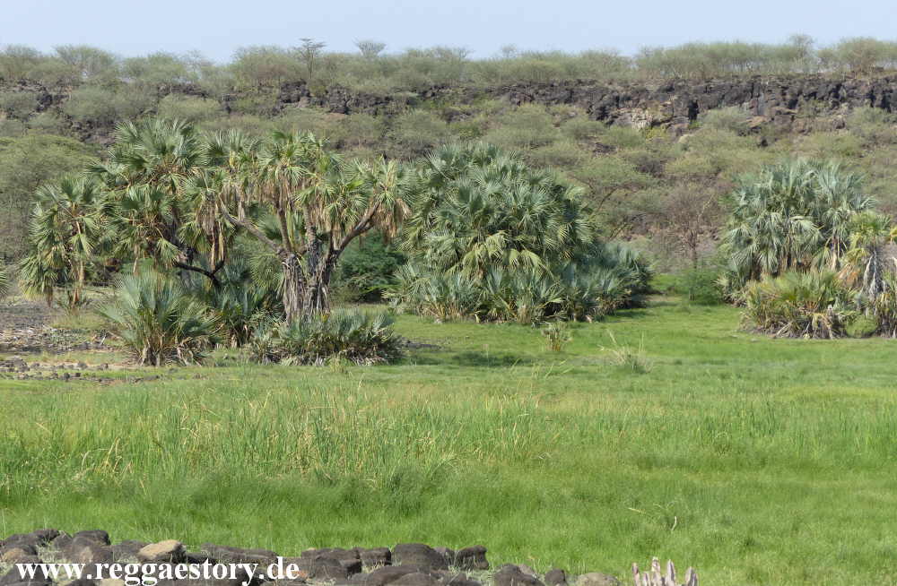 Ethiopia - Awash Nationalpark - Filwoha Campsite