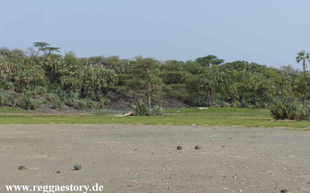 Ethiopia - Awash Nationalpark - Filwoha Campsite