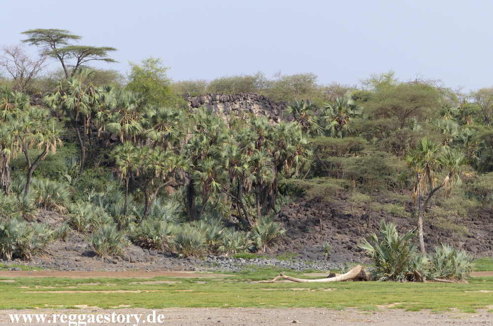Ethiopia - Awash Nationalpark - Filwoha Campsite