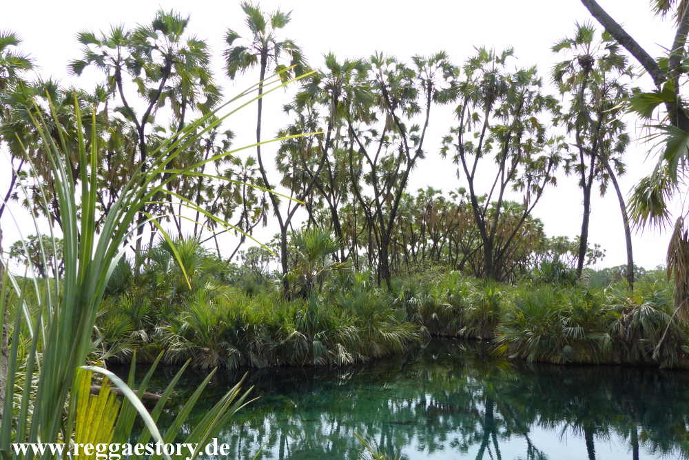 Ethiopia - Awash Nationalpark - Filwoha Hot Springs