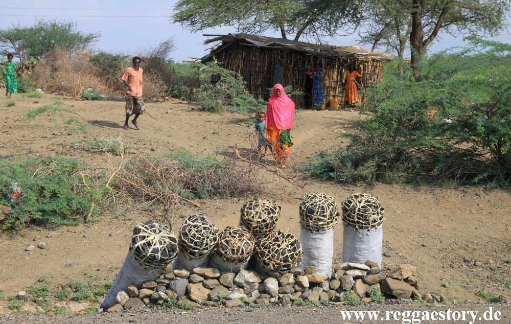 Ethiopia 2015 - Holzkohle
