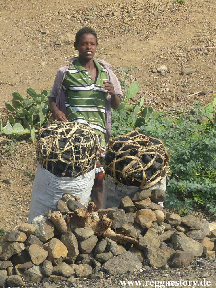 Ethiopia 2015 - Holzkohle