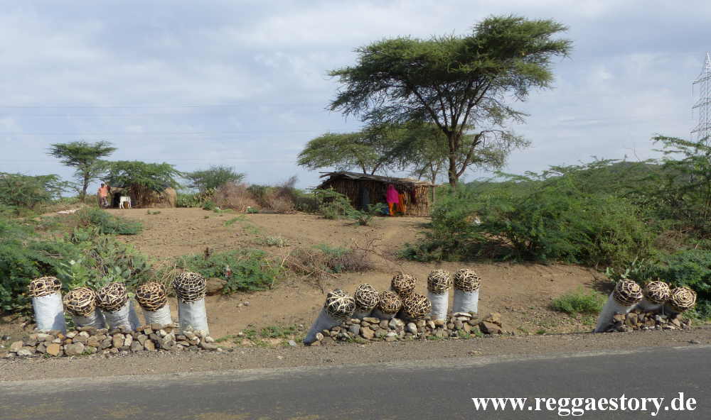 Ethiopia 2015 - Holzkohle