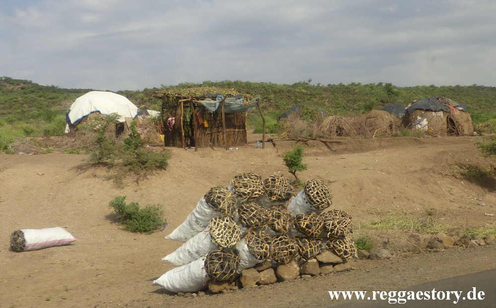 Ethiopia 2015 - Holzkohle