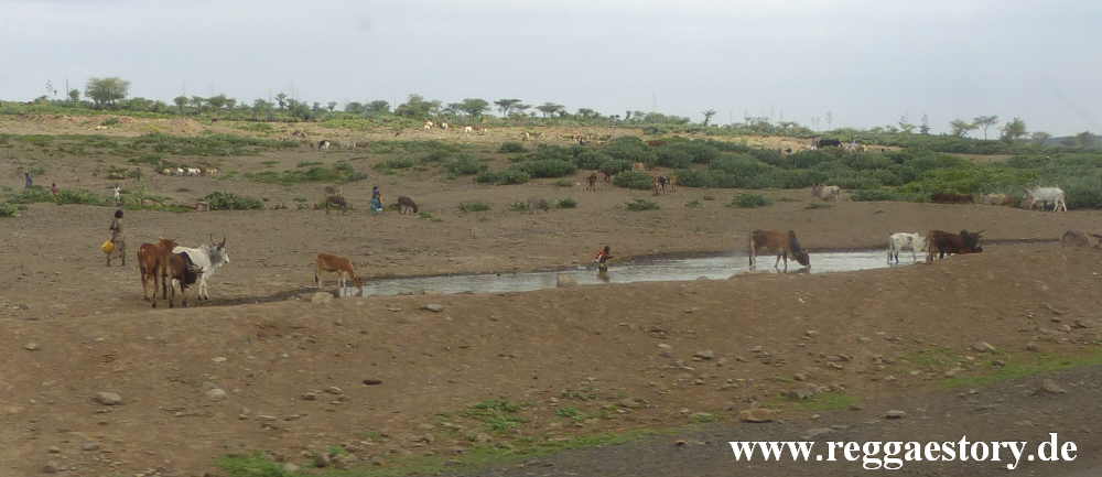 Ethiopia 2015