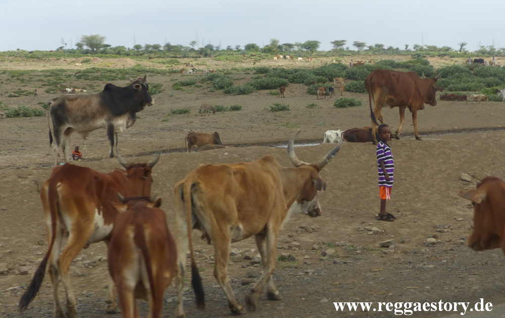 Ethiopia 2015