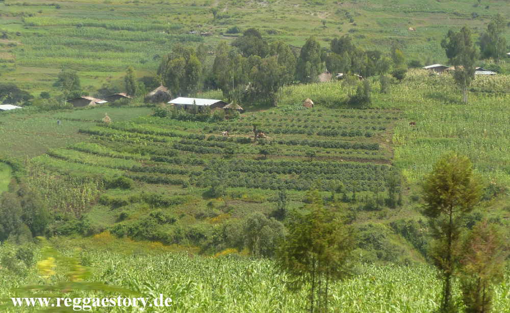 Ethiopia 2015