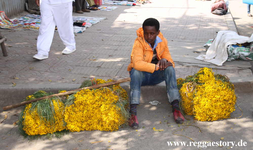 Meskel Flowers - Addis Ababa