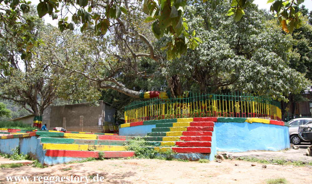Holy Tree - Yeka Mikael Church - Addis Ababa