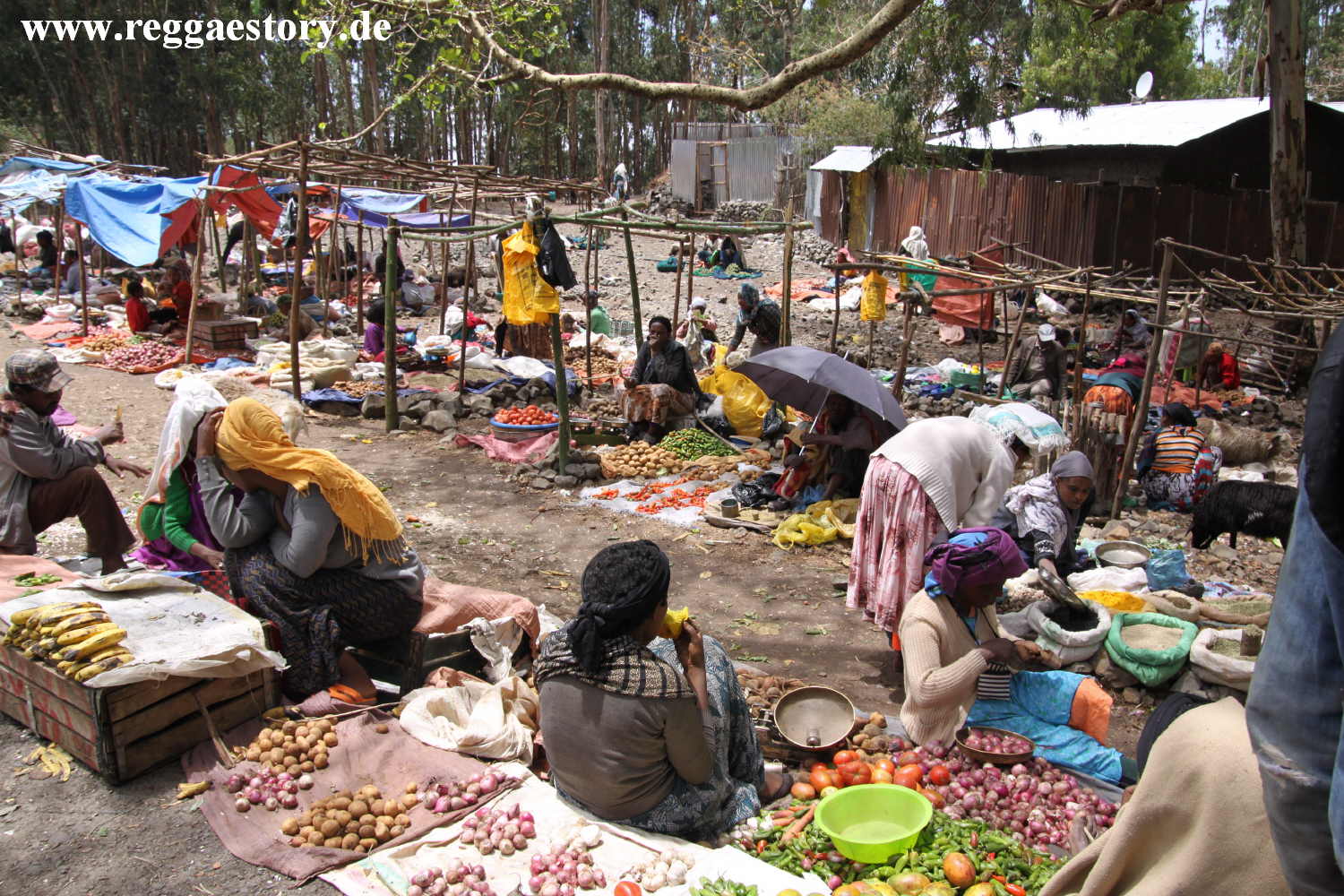 Market - Debre Libanos - Ethiopia