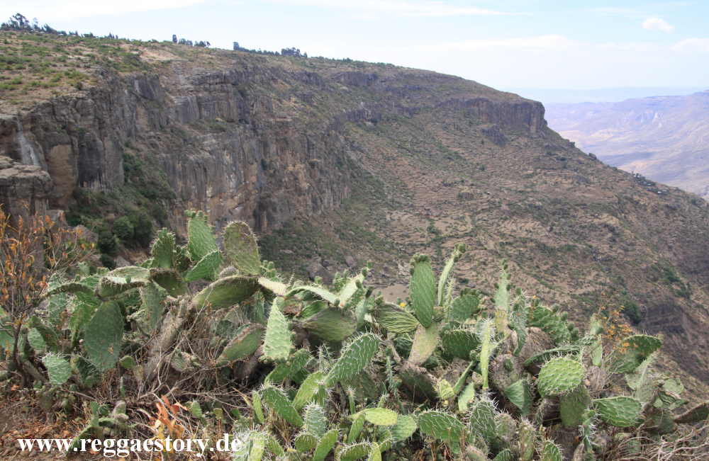 Way to Ras Darge's Bridge - Debre Libanaos