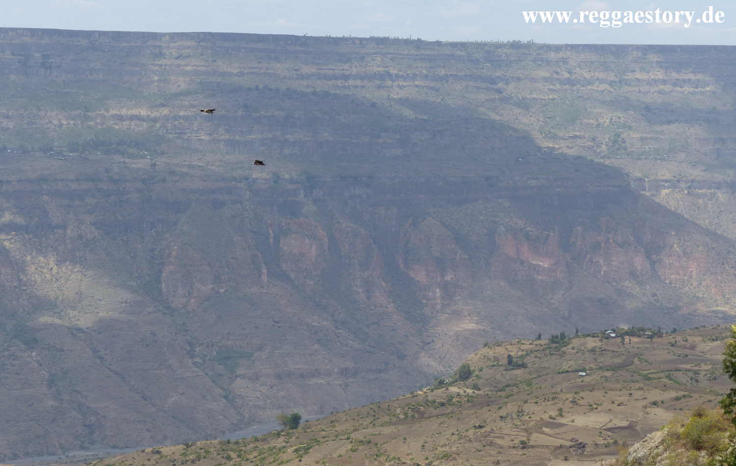Near Ethio German Park - Debre Libanos - Ethiopia
