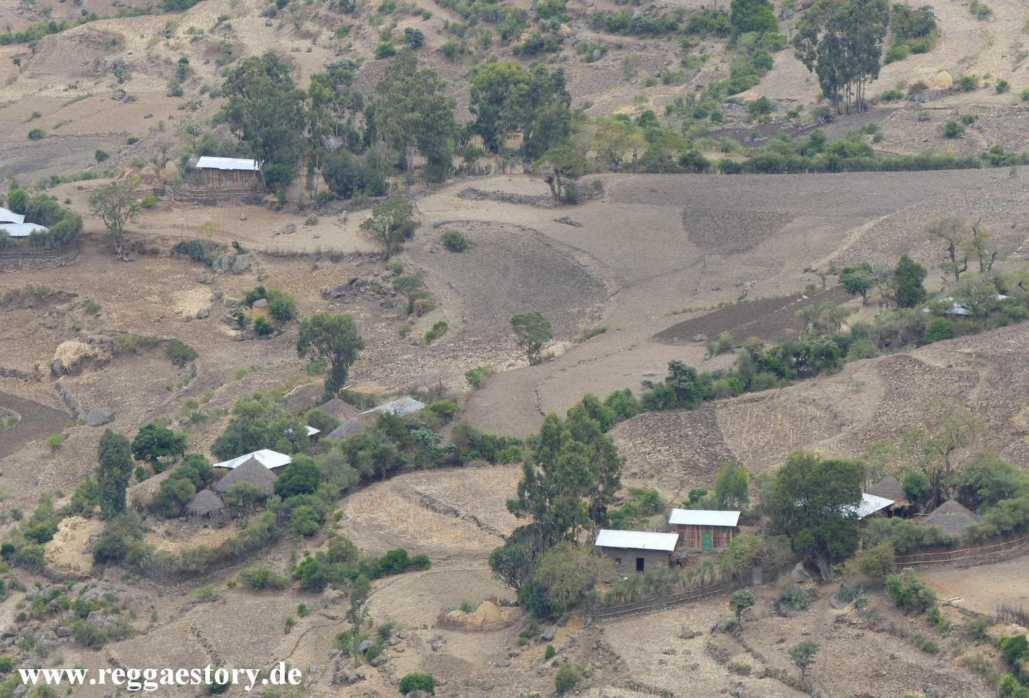 Near Ethio German Park - Debre Libanos - Ethiopia
