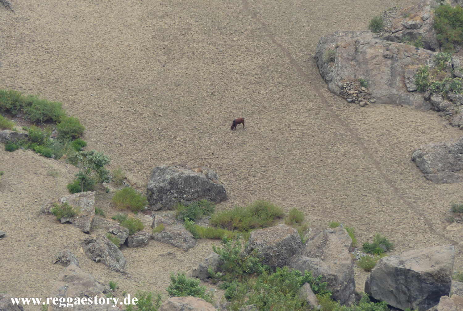 Near Portuguese Bridge - Debre Libanos - Ethiopia