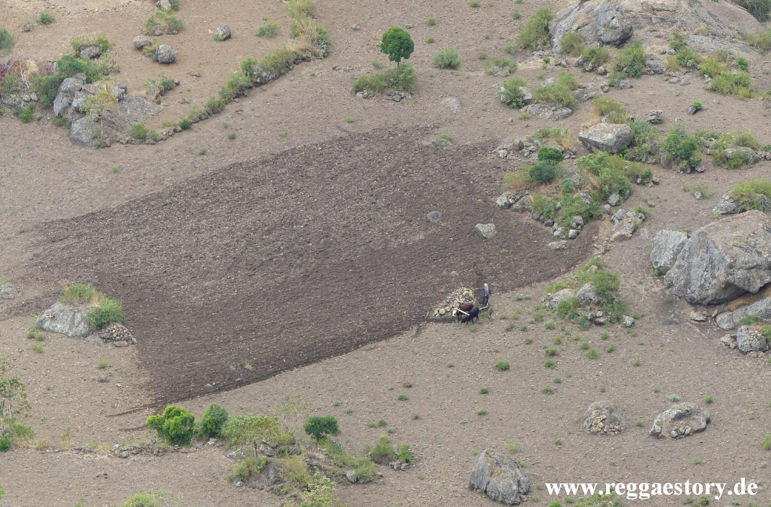 Near Portuguese Bridge - Debre Libanos - Ethiopia