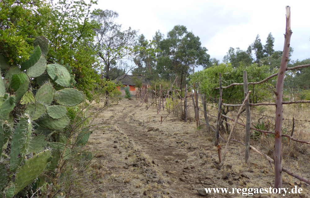 Ethio German Park - Debre Libanos - Ethiopia