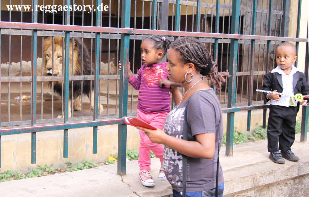 Addis Ababa - L&ouml;wenzoo