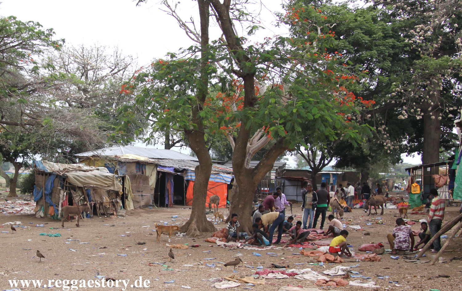 Lake Koka - Fischverarbeitung am Stra&szlig;enrand - Ethiopia