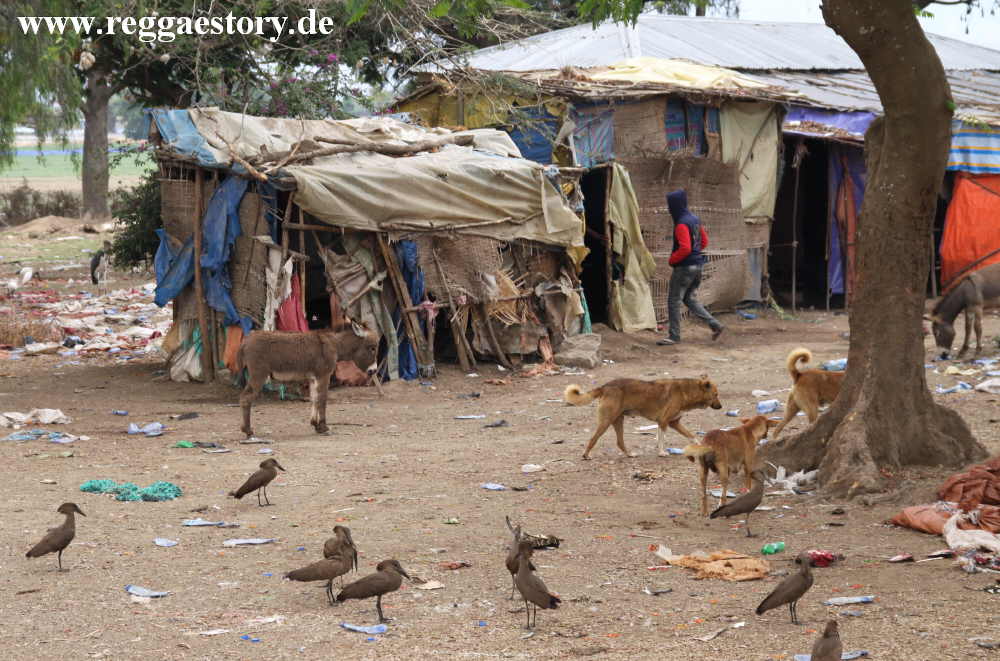 Lake Koka - Fischverarbeitung - Ethiopia