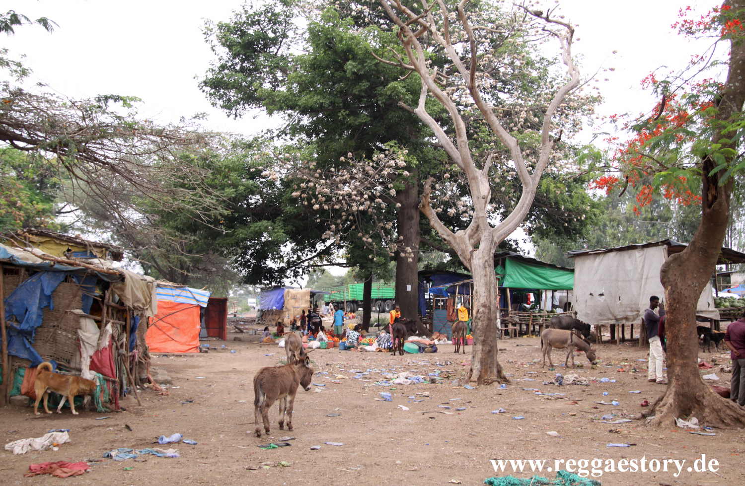 Lake Koka - Fischverarbeitung am Stra&szlig;enrand - Ethiopia
