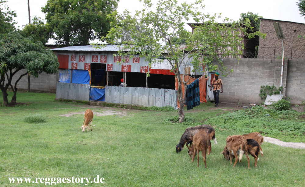 Headquarter Twelve Tribes of Israel - Shashemene - Ethiopia