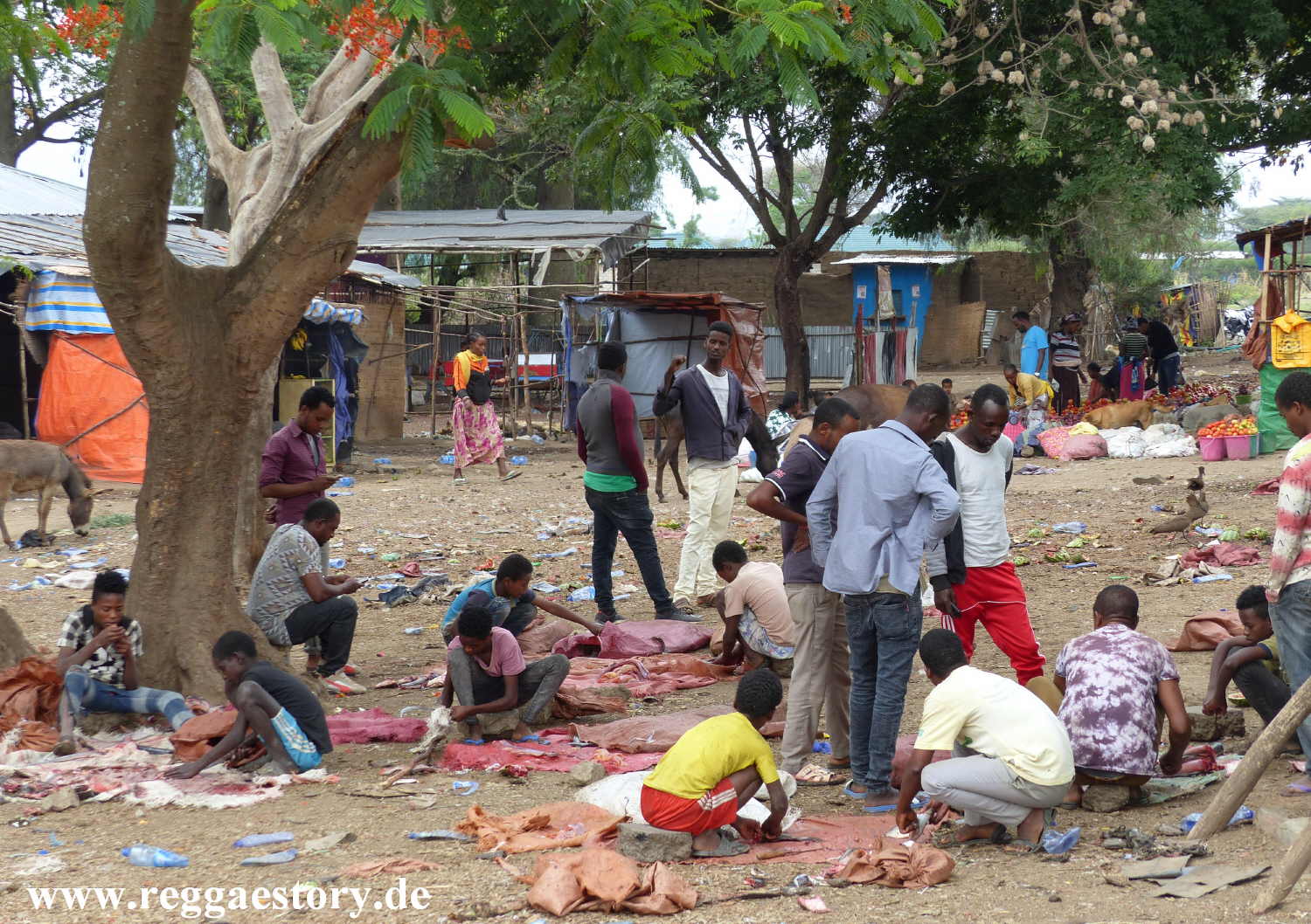 Lake Koka - Fischverarbeitung - Ethiopia