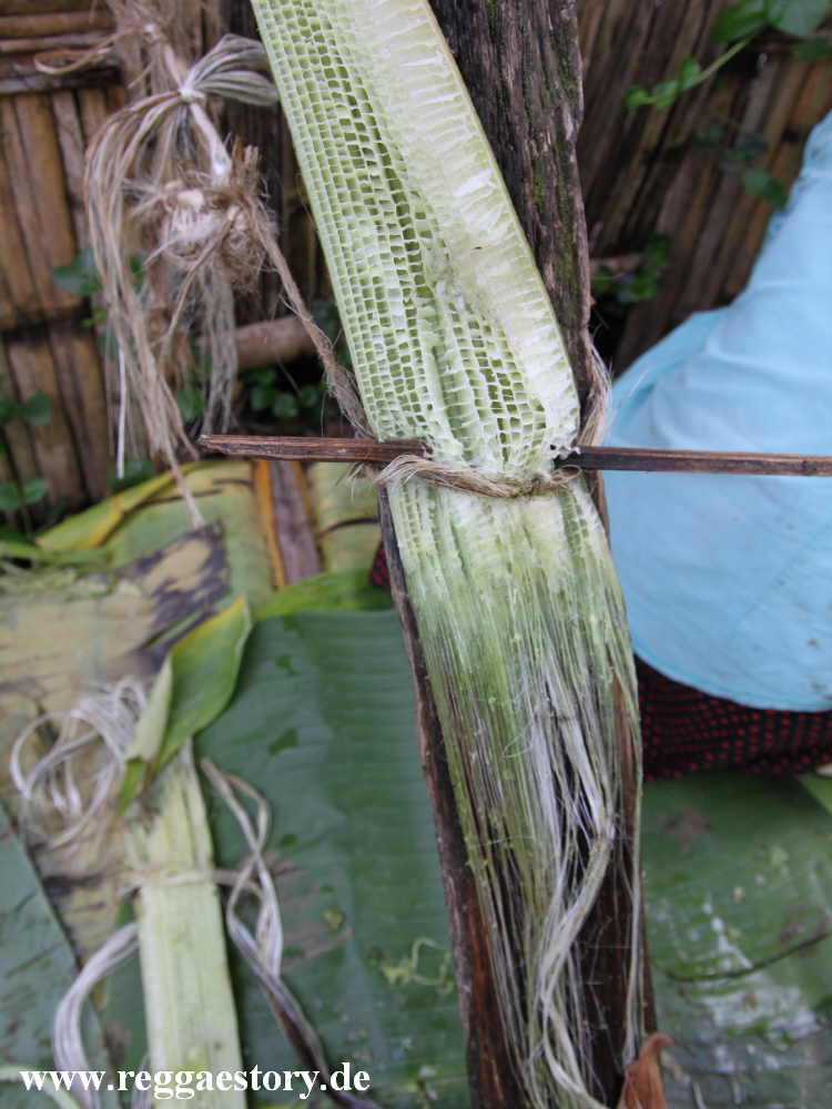 Ensete-Fasern - Dorze Village - Arba Minch - Ethiopia