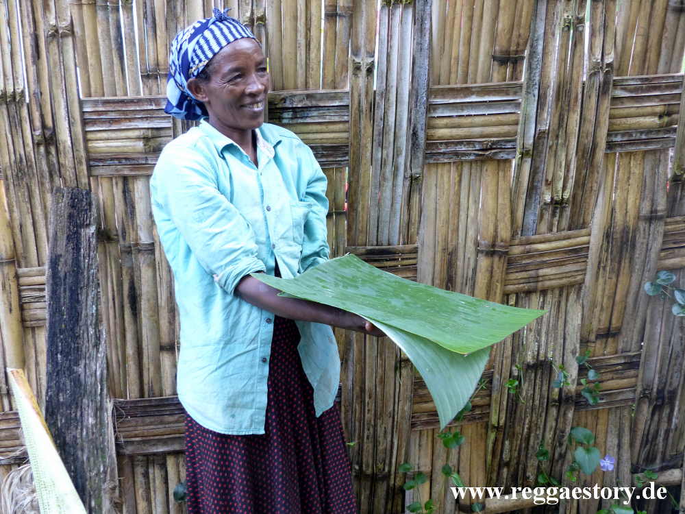 Ensete-Brotherstellung - Dorze Village - Arba Minch - Ethiopia
