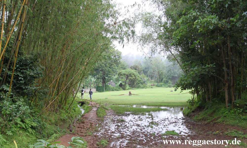 Dorze - Ethiopia